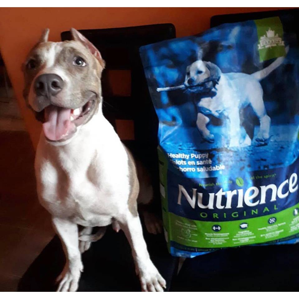 Thức Ăn Cho Chó Husky Con - Nutrience Original Bao 500g - Hỗ Trợ Trí Não, Cơ Khớp - Thịt Gà, Rau Củ & Trái Cây Tự Nhiên