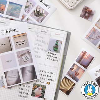 Bộ 40 sticker HANGOUT TODAY