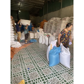 Gạo lứt tím Sóc Trăng