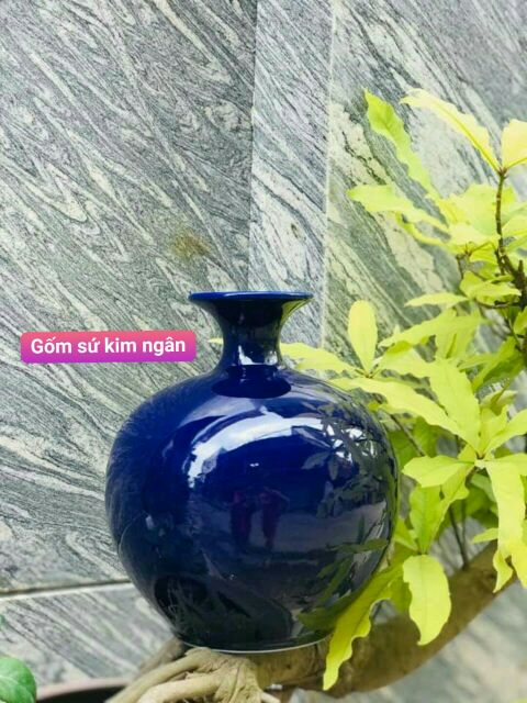 Bình hút lộc     -