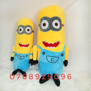 Gấu bông minions, gấu bông kẻ đánh cắp mặt trăng, gấu bông minion niềng răng, gấu bông hỏa tốc