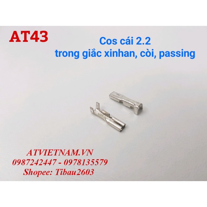 Cos cái 2.2 trong jack xinhan, jack còi, passing - AT43