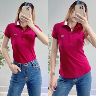 ÁO THUN POLO NỮ