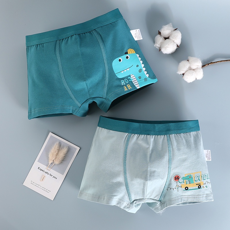 Set 4 Quần Lót Boxer Cotton Nguyên Chất Họa Tiết Hoạt Hình Cho Bé Trai 1-13 Tuổi Bán Sỉ