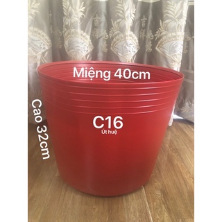 Chậu nhựa trồng sen 5 cái C16 bít lổ đỏ