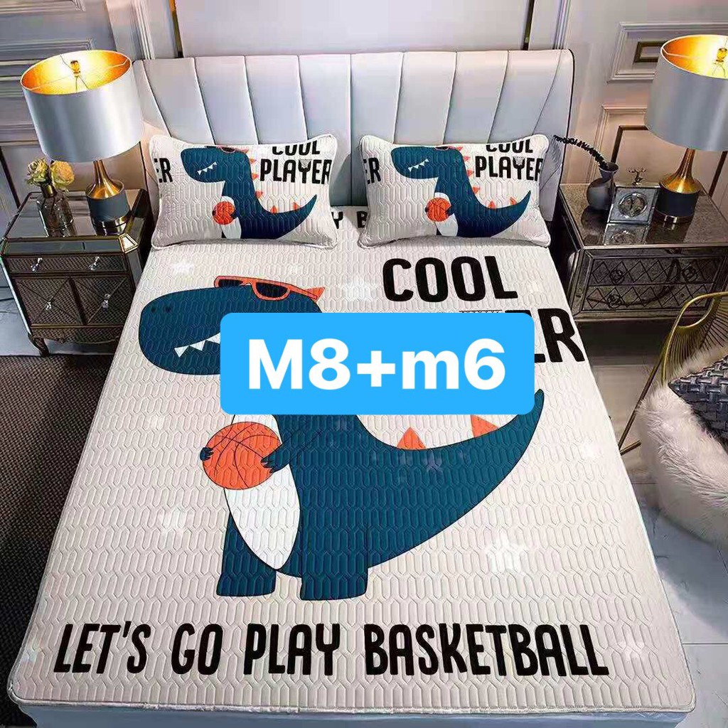 CHIẾU ĐIỀU HÒA CAO SU NON LATEX 5D