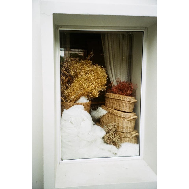 Máy ảnh film Canon Autoboy Luna 105