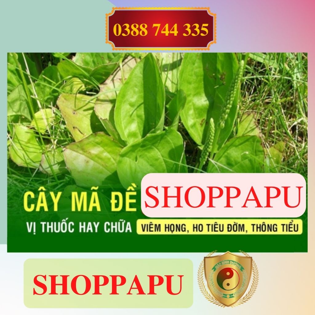 ✅ 1kg Bông Mã Đề