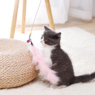 Cần câu mèo dẻo