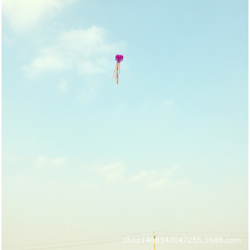 Diều thả hình bạch tuộc 3D độc đáo dây dài 4m