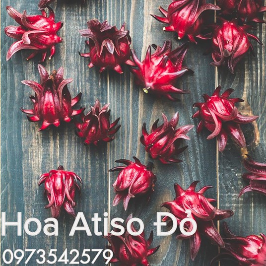 Trà atiso đỏ (Hibiscus,bụp giấm) 100gr cành rời