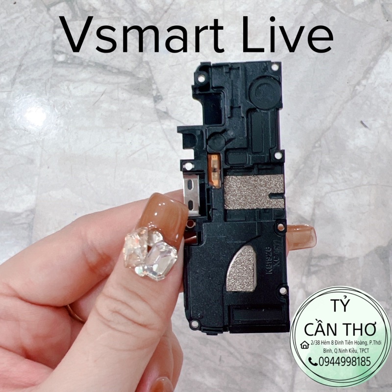 Cụm loa ngoài Vsmart Live, Star 3, Joy 3 hàng tháo máy