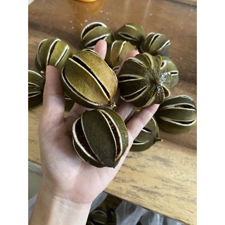 Set chanh sấy trang trí noel siêu đẹp