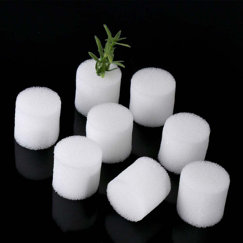 Set 50 Miếng Bọt Biển Tự Nhiên Không Cần Đất Trồng Cây