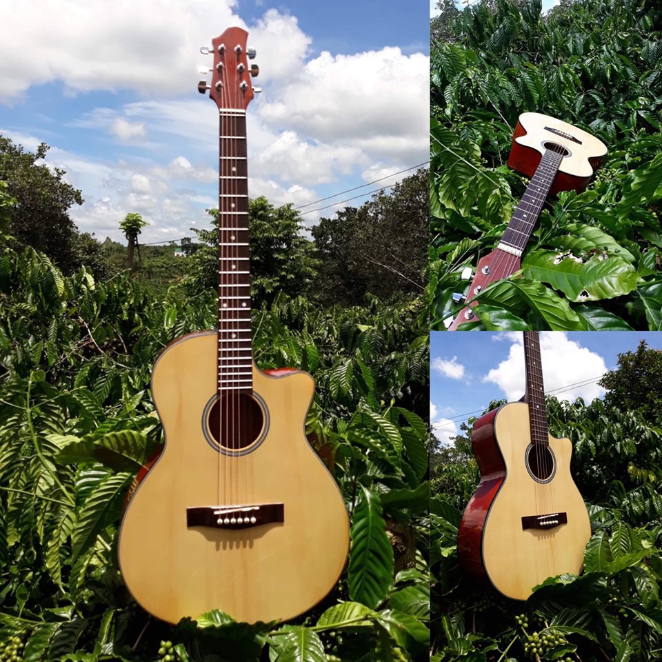 Đàn Guitar acoustic + Compo 9 phụ kiện cho guitar ( Bao da, capo, bộ dây, lục giác, móng cái, tay quay, hộp pick..)