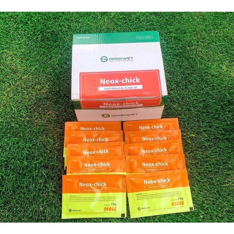 Úm Gia Cầm - Neox Chick combo 5 gói 10g Phân xanh, phân trắng, hen gà, khẹc vịt, sưng phù đầu, viêm ruột hoại tử