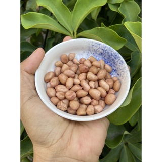 Đậu phộng sống