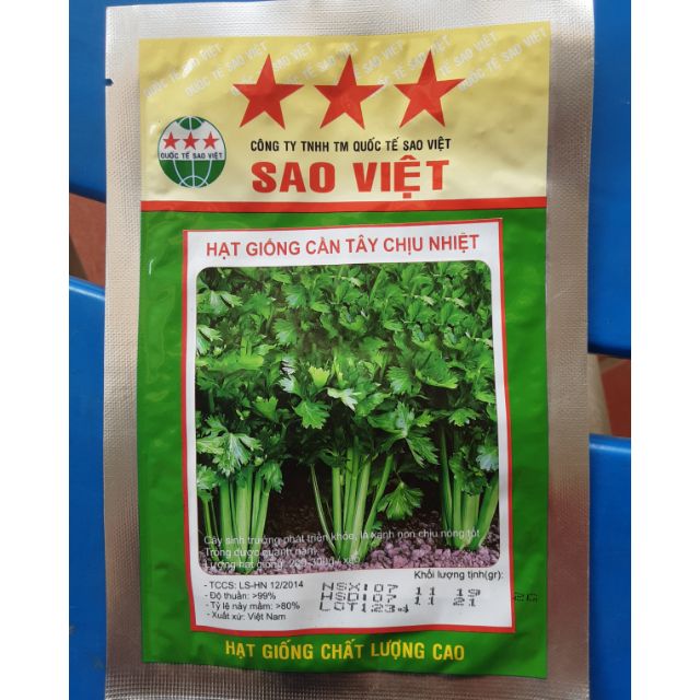 Hạt giống cần tây