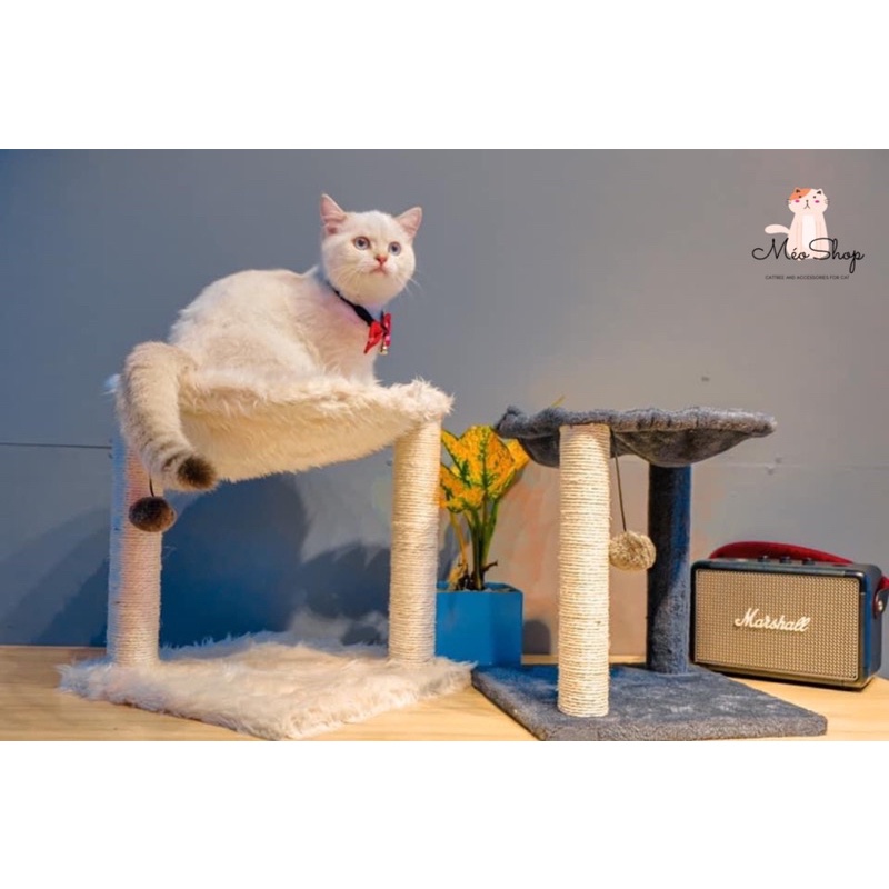 Nhà Cây Võng Siêu Chill Cho Boss 😻tặng kèm súp thưởng