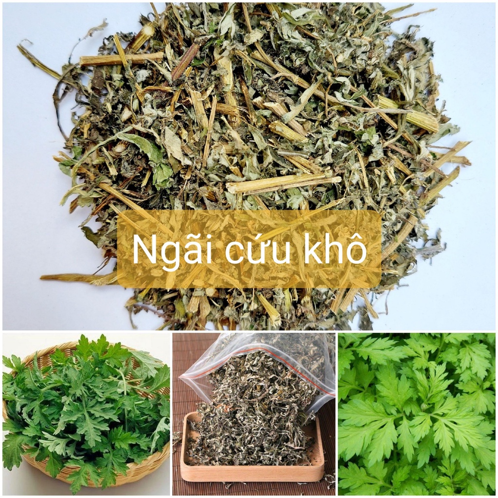 Cây Ngải Cứu khô dùng đốt với bếp xông thảo mộc giúp Thanh lọc không khí, Thanh tẩy nhà cửa, Xua đuổi côn trùng
