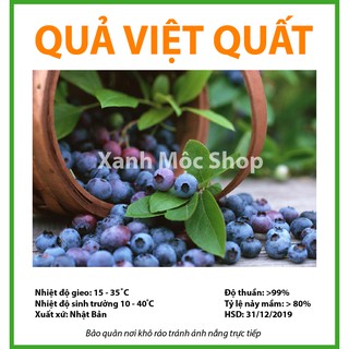 Hạt giống quả Việt Quất