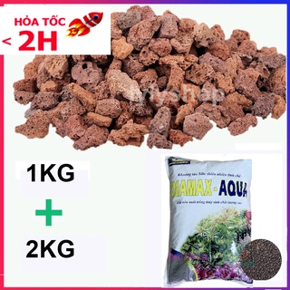 Combo ĐÁ NHAM THẠCH (1kg) + Đất nền thủy sinh DIA MAX- AQUA 2KG giàu dinh dưỡng, tốt cho cây trồng