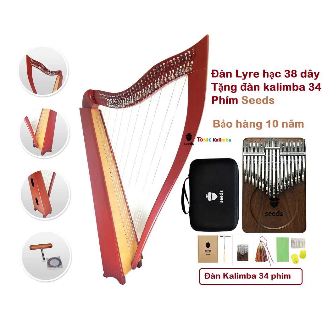 Đàn lyre harp 2 khóa cao cấp Katane-M38K01S Tặng đàn Kalimba 34 phím Seeds Bảo hành thân đàn 10 năm