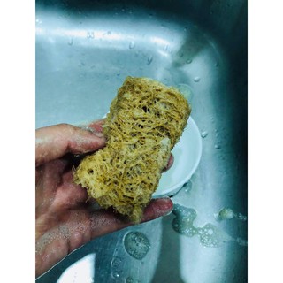 Xơ mướp rửa bát