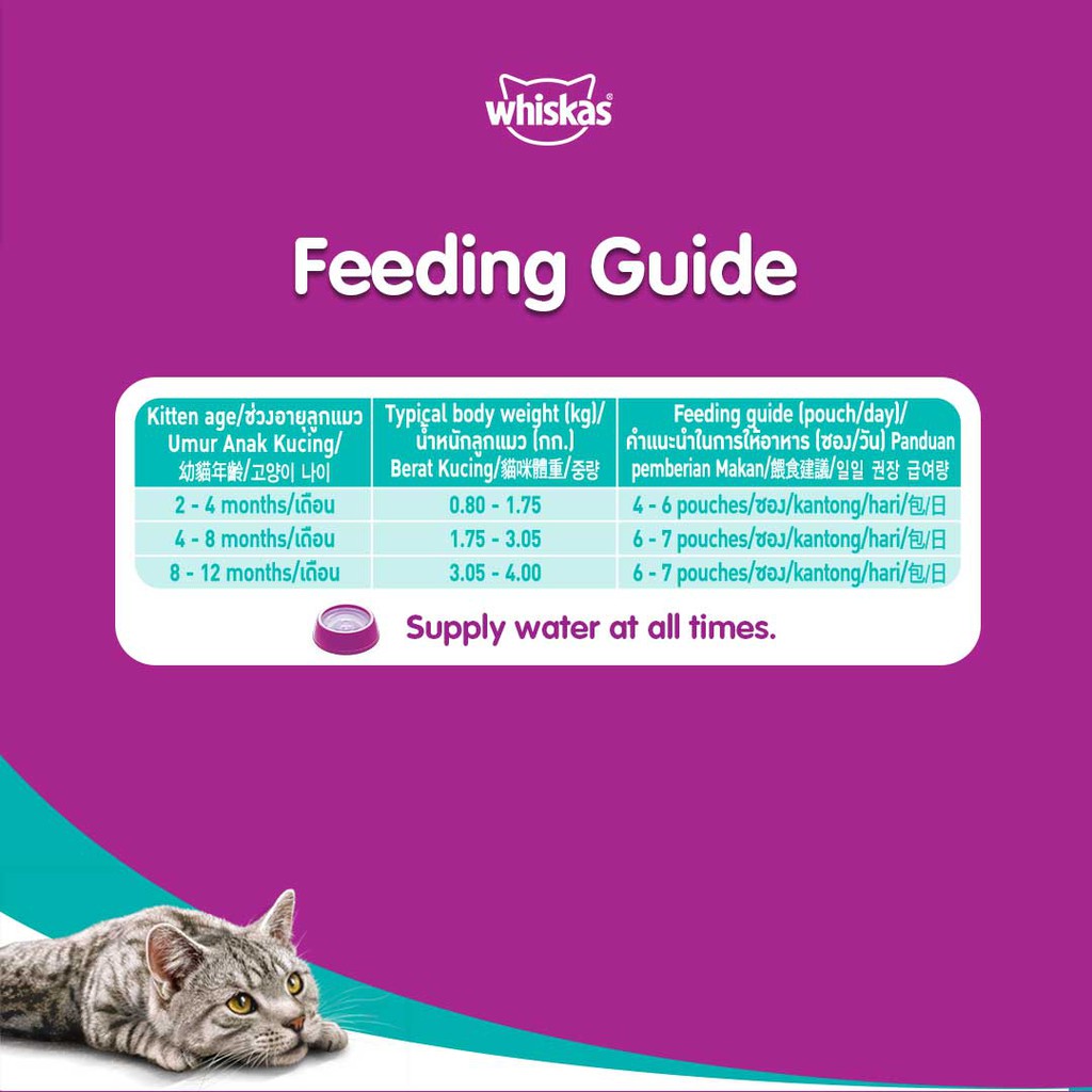 WHISKAS® Bộ thức ăn cho mèo con dạng sốt vị cá ngừ 80g + dạng sốt vị cá thu 80g (24 gói)