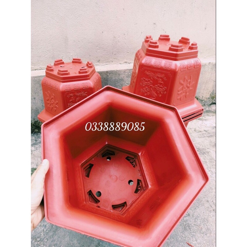 Chậu nhựa lục giác LG330 có  in hình tứ quí trồng cây siêu đẹp - Ảnh thật như hình