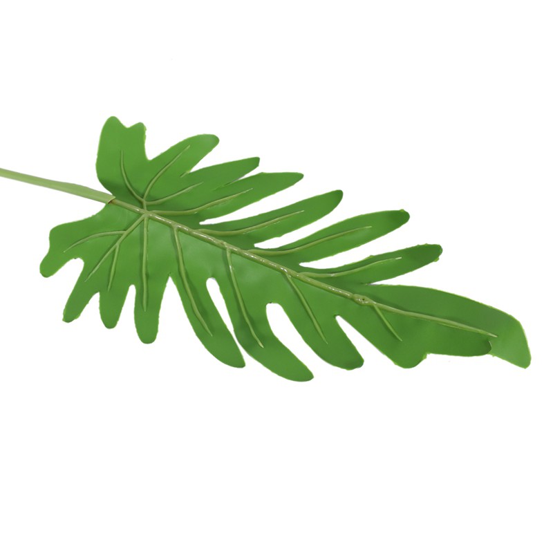 Set 4 Lá Cọ Nhiệt Đới Dùng Để Trang Trí Tiệc