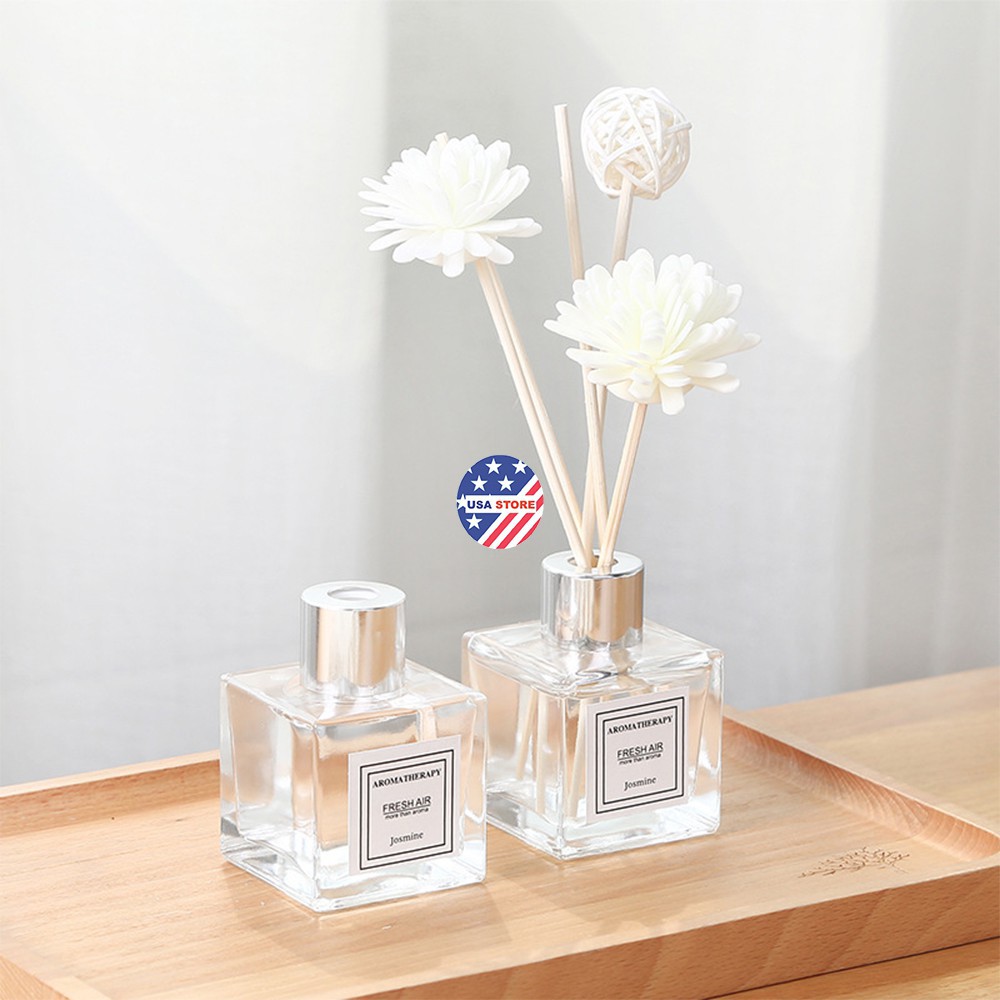 Lọ Hoa Phát Tán Tinh Dầu 2 Bông Hoa Vuông FXE1128 Autofun