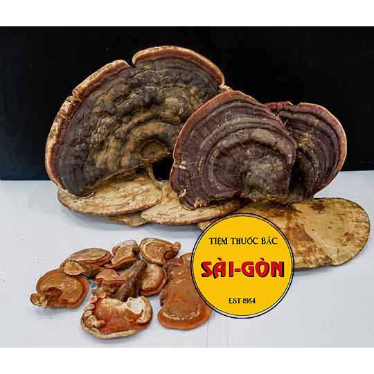 Nấm Linh Chi Việt Nam 500g