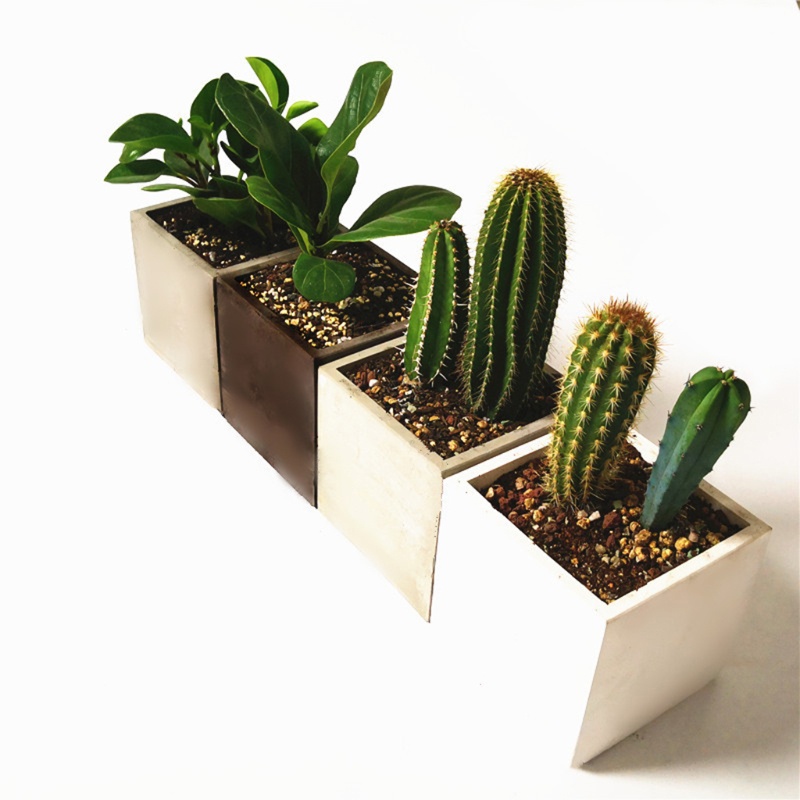 Khuôn Silicone Làm Chậu Hoa / Cây Mọng Nước 12cm Diy