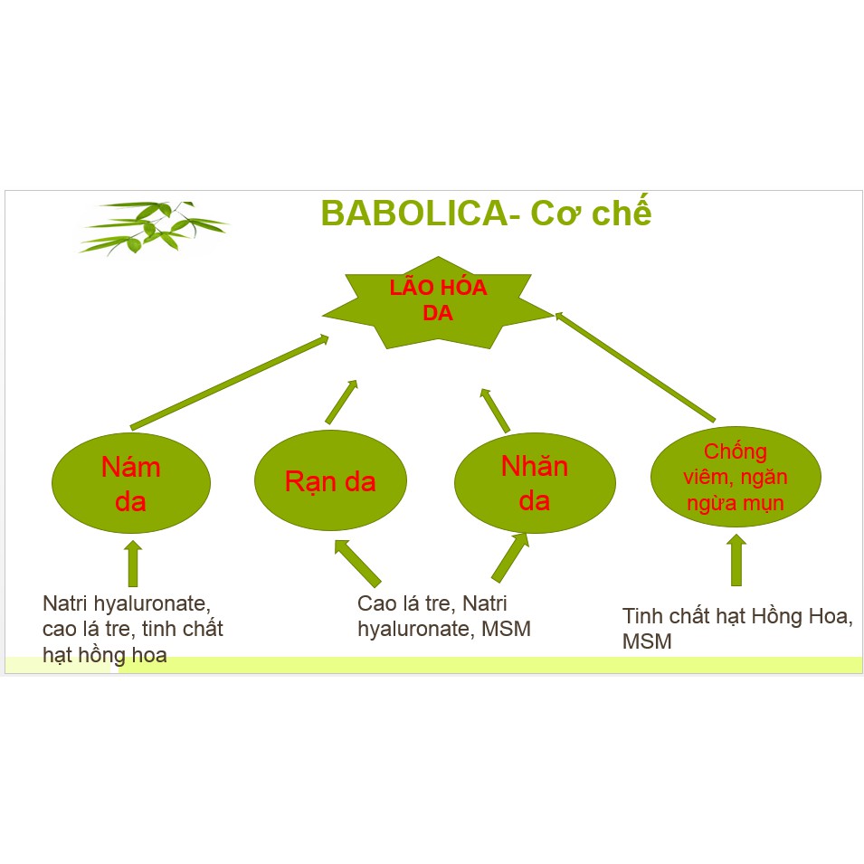 Viên uống Babolica - Hỗ trợ trị nám, da nhăn nheo, chảy xệ (Hộp 30 viên)