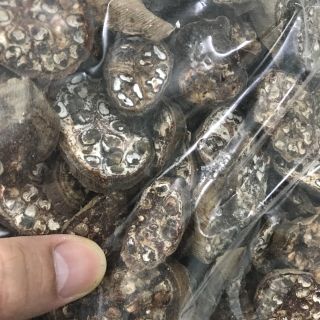 Chuối hột rừng 500g