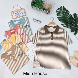 Áo thun kẻ sọc có cổ thêu cute