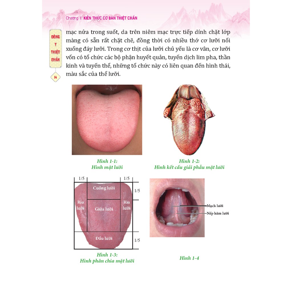 Sách - Đông y thiệt chuẩn (bìa mềm) - tặng bookmark