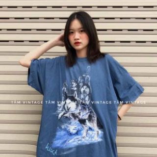 ÁO THUN MỸ GIÁ RẺ VÔ ĐỊCH