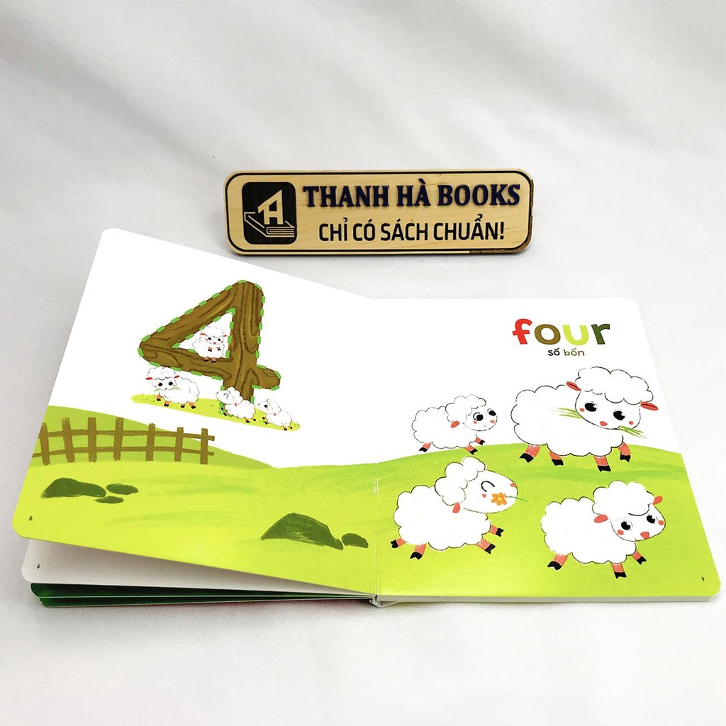 Sách - Thư Viện Hình Ảnh Song Ngữ Đầu Tiên Cho Bé - My First Learning Book (Bộ 8 cuốn)