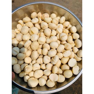 500g Hạt Macca Organic Sạch Di Linh Lâm Đồng nhà trồng size A ( hạt mắc ca)