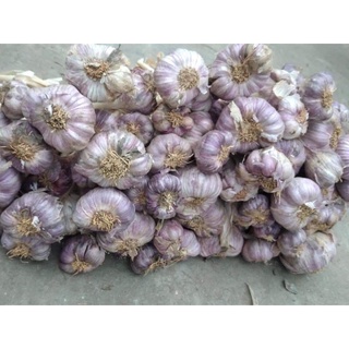 Tỏi lai to, tỏi cô đơn, hành tím nghệ an 500g/1kg