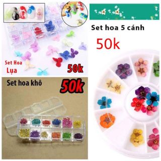 Hoa khô- hoa lụa- hoa 5 cánh làm Nail