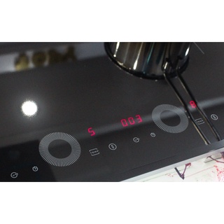 Bếp từ Munchen G60i