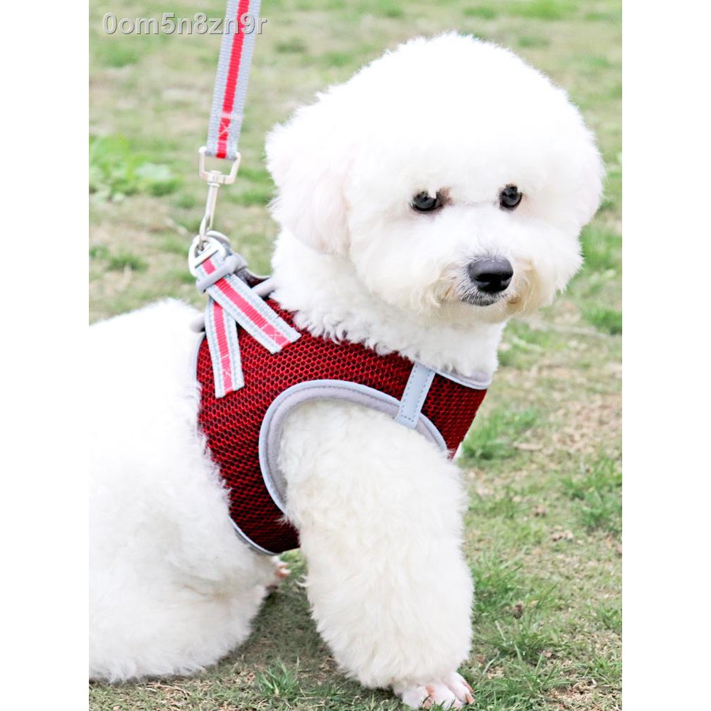 ☫Chó bông dây xích áo gi lê loại bichon tua rua chuỗi con nhỏ đi dạo VIP vật nuôi nịt ngực