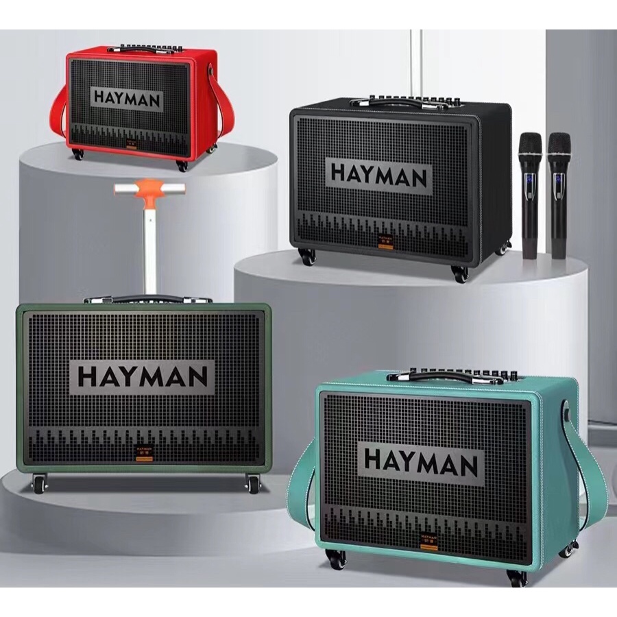 Loa karaoke  Hayman X15.