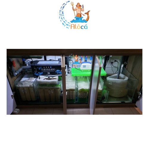 Máy bơm cao cấp ZKSJ DC 52Q-5000L, ZKSJ 55Q-8000L, ZKSJ 65Q-10000L, ZKSJ 65Q-12000L tiết kiệm điện, điều chỉnh lưu lượng