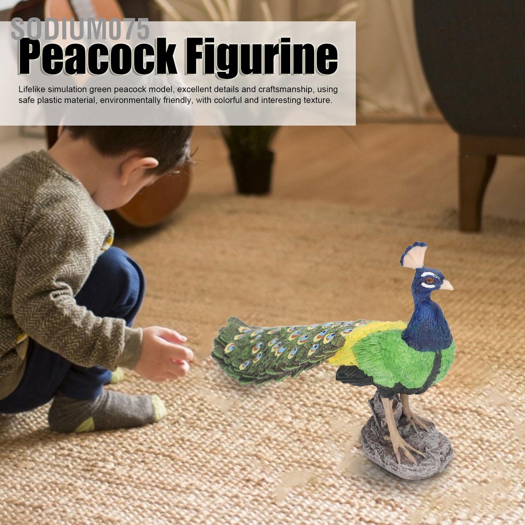 Có thể bán buôn Con công đẹp Trang trí nhà sống động Mô hình vật Tượng con nhân tạo để làm quà tặng Sodium075 Hàng giao ngay