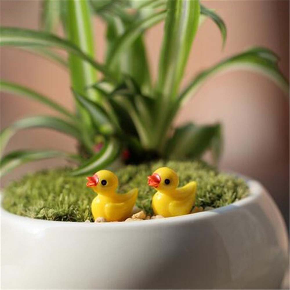 EPOCH Set 5 Mô Hình Chú Vịt Mini Trang Trí Sân Vườn