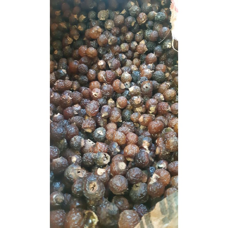 Quả bồ hòn khô tách hạt 51k1 kg